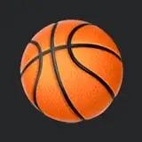 Home 13 Basketball icon