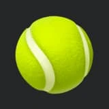 Home 14 Tenis icon