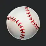 Home 18 Baseball icon compressed