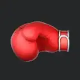 Home 20 MMA icon compressed